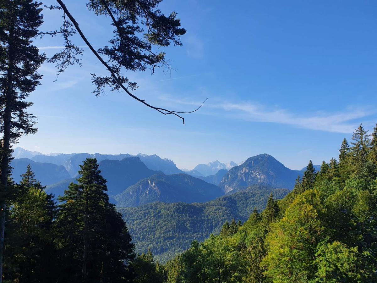 Ferienwohnungen Gaestehaus Laercheck Μπερχτεσγκάντεν Εξωτερικό φωτογραφία